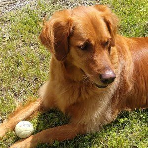 Meet your Posher, Jared